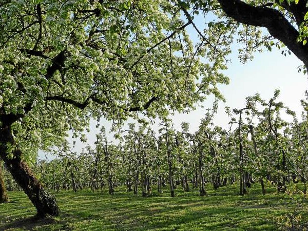 Lindaus Brunnen erzählen Geschichten Lindaus Brunnen erzählen Geschichten